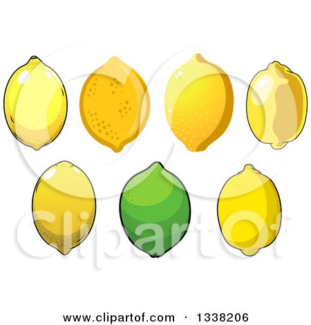 Clipart of a Cartoon Lime and Lemons - Royalty Free Vector Illustration by Vector Tradition SM