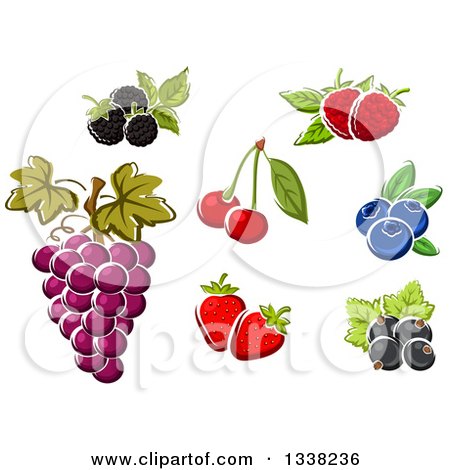 Clipart of Cartoon Blackberriers, Raspberries, Blueberries, Cherries, Strawberries, Grapes and Black Currants - Royalty Free Vector Illustration by Vector Tradition SM