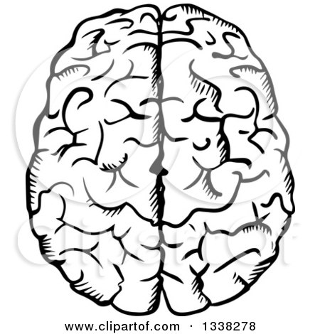 Clipart of a Black and White Sketched Brain - Royalty Free Vector Illustration by Vector Tradition SM