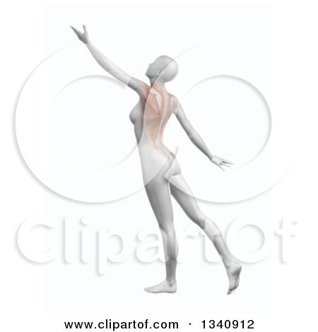 Clipart of a 3d White Anatomical Woman Reaching, with Visible Back Muscles, on Shaded White - Royalty Free Illustration by KJ Pargeter