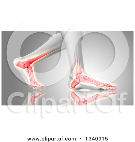 Clipart of a 3d Anatomical Feet Walking, with Glowing Bones, on Reflective Gray - Royalty Free Illustration by KJ Pargeter
