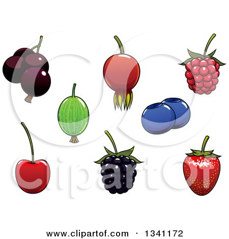 Clipart of a Strawberry, Blackberry, Raspberry, Cherry, Black Currant, Blueberry, Gooseberry and Briar Fruits - Royalty Free Vector Illustration by Vector Tradition SM