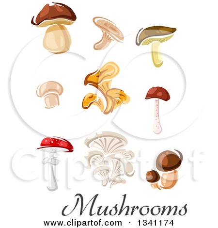 Clipart of Cartoon Mushrooms and Text - Royalty Free Vector Illustration by Vector Tradition SM