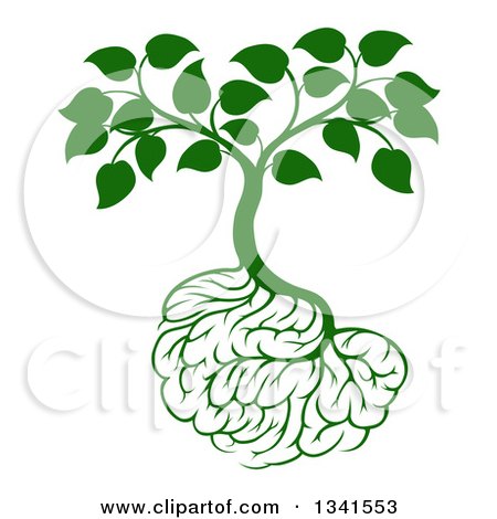 Clipart of a Leafy Green Tree with Brain Roots - Royalty Free Vector Illustration by AtStockIllustration