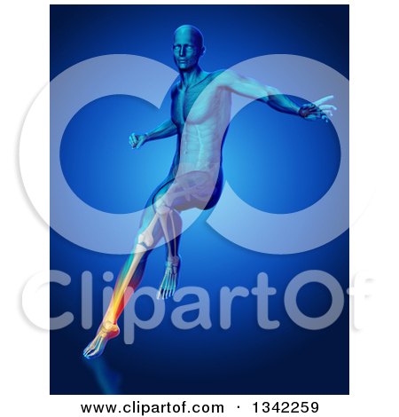 Clipart of a 3d Anatomical Man Jumping and Landing with Visible Leg Pain, Bones and Muscles over Blue - Royalty Free Illustration by KJ Pargeter
