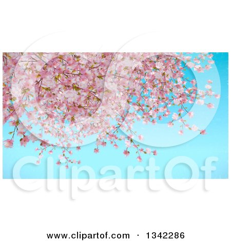 Clipart of a Background of Painted Cherry Blossoms over Blue Sky - Royalty Free Illustration by KJ Pargeter