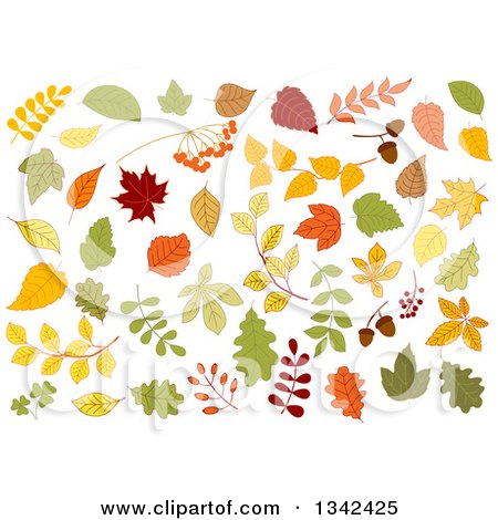 Clipart of Colorful Autumn Leaves 2 - Royalty Free Vector Illustration by Vector Tradition SM