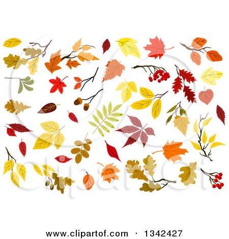 Clipart of Colorful Autumn Leaves - Royalty Free Vector Illustration by Vector Tradition SM