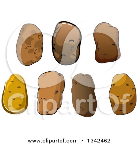 Clipart of Cartoon Russet Potatoes - Royalty Free Vector Illustration by Vector Tradition SM