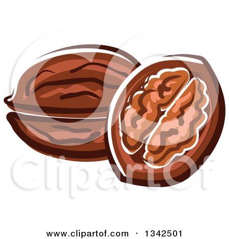 Clipart of Cartoon Walnuts - Royalty Free Vector Illustration by Vector Tradition SM