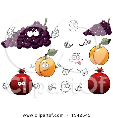 Clipart of Cartoon Faces, Hands, Purple Grapes, Apricots and Pomegranates - Royalty Free Vector Illustration by Vector Tradition SM