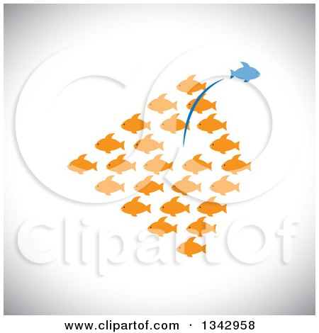 Clipart of a Group of Orange Fish with a Blue One Leaping out in the Opposite Direction over Shading - Royalty Free Vector Illustration by ColorMagic