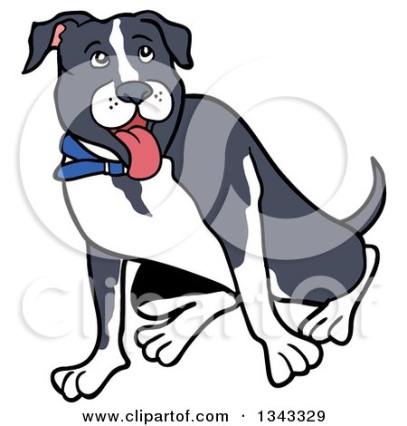 Clipart of a Cartoon White and Gray Pitbull Dog Sitting and Panting - Royalty Free Vector Illustration by LaffToon