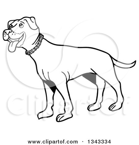 Lineart Clipart of a Cartoon Black and White Pitbull Dog Standing and Panting, Facing Left - Royalty Free Outline Vector Illustration by LaffToon