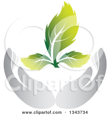 Clipart of Gray Nurturing Hands Holding a Green Plant - Royalty Free Vector Illustration by ColorMagic