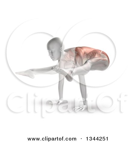 Clipart of a 3d Anatomical Woman Stretching, Balanced on Her Hands in a Yoga Pose, with Visible Muscles, on White - Royalty Free Illustration by KJ Pargeter