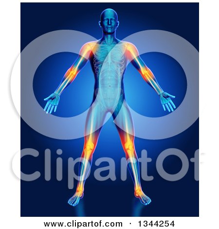 Clipart of a 3d Anatomical Man with Visible Muscles and Highlighted Joints over Blue - Royalty Free Illustration by KJ Pargeter