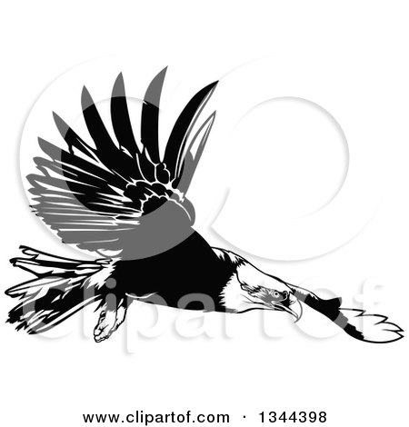 Clipart of a Black and White Flying Bald Eagle - Royalty Free Vector Illustration by dero