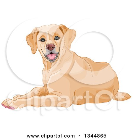 Clipart of a Happy Yellow Labrador Retriever Dog Resting - Royalty Free Vector Illustration by Pushkin