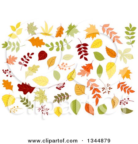 Clipart of Colorful Autumn Leaves 5 - Royalty Free Vector Illustration by Vector Tradition SM