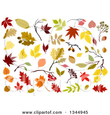Clipart of Colorful Autumn Leaves 4 - Royalty Free Vector Illustration by Vector Tradition SM