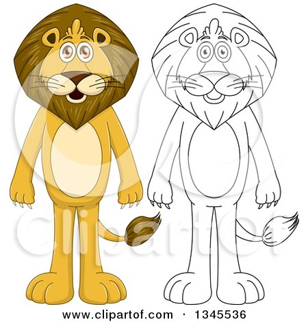 Clipart of Cartoon Colored and Black and White Outline Standing Male Lions - Royalty Free Vector Illustration by Liron Peer