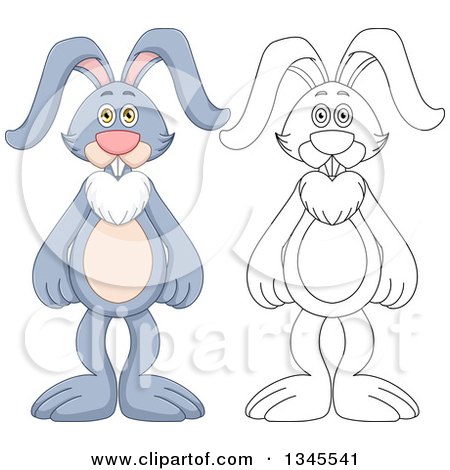 Clipart of Cartoon Colored and Black and White Outline Standing Rabbits - Royalty Free Vector Illustration by Liron Peer