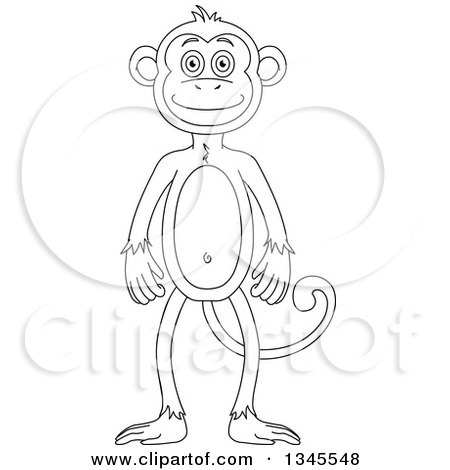 Clipart of a Cartoon Black and White Outline Standing Monkey - Royalty Free Vector Illustration by Liron Peer