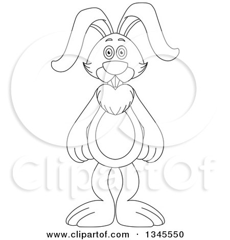 Clipart of a Cartoon Black and White Outline Standing Rabbit - Royalty Free Vector Illustration by Liron Peer