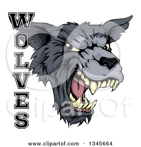 Clipart of a Roaring Gray Wolf Mascot Head and Text - Royalty Free Vector Illustration by AtStockIllustration