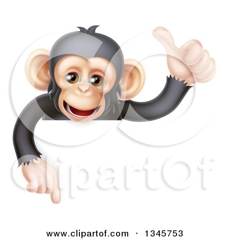 Clipart of a Cartoon Black and Tan Happy Baby Chimpanzee Monkey Giving a Thumb up and Pointing down over a Sign - Royalty Free Vector Illustration by AtStockIllustration