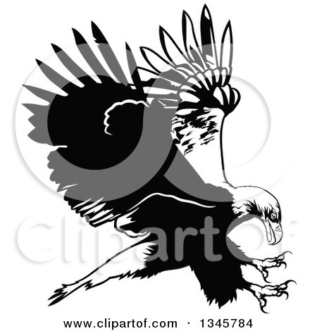 Clipart of a Black and White Flying Bald Eagle 2 - Royalty Free Vector Illustration by dero