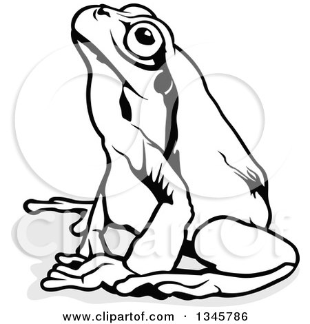 Clipart of a Black and White Sitting European Tree Frog and Grey Shadow - Royalty Free Vector Illustration by dero