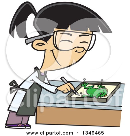 Clipart of a Cartoon Asian School Girl Dissecting a Frog in Class - Royalty Free Vector Illustration by toonaday