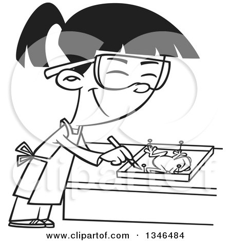 Lineart Clipart of a Cartoon Black and White Asian School Girl Dissecting a Frog in Class - Royalty Free Outline Vector Illustration by toonaday
