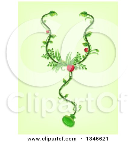 Clipart of a Stethoscope Made of Vines and Medicinal Plants - Royalty Free Vector Illustration by BNP Design Studio