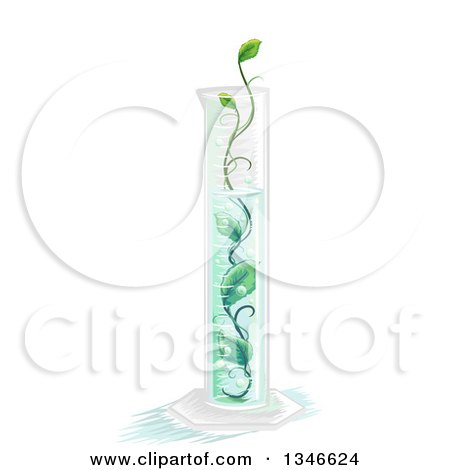 Clipart of a Graduated Cylinder with a Medicinal Plant Inside - Royalty Free Vector Illustration by BNP Design Studio