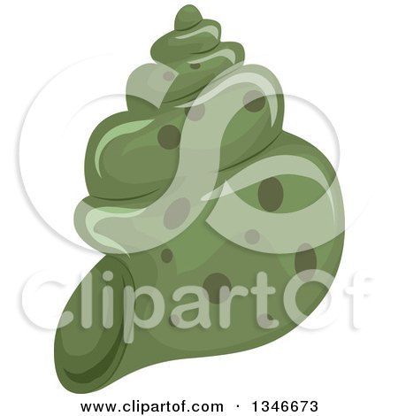 Clipart of a Green Conch Sea Shell - Royalty Free Vector Illustration by BNP Design Studio