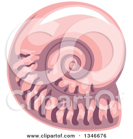 Clipart of a Pink Nautilus Sea Shell - Royalty Free Vector Illustration by BNP Design Studio
