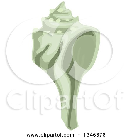 Clipart of a Green Conch Seashell - Royalty Free Vector Illustration by BNP Design Studio