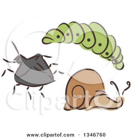Clipart of a Sketched Garden Pest Caterpillar, Beetle and Snail - Royalty Free Vector Illustration by BNP Design Studio