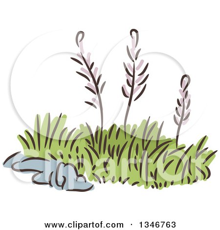 Clipart of Sketched Garden Weeds - Royalty Free Vector Illustration by BNP Design Studio