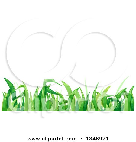 Clipart of a Border of Green Grass Under Text Space - Royalty Free Vector Illustration by BNP Design Studio