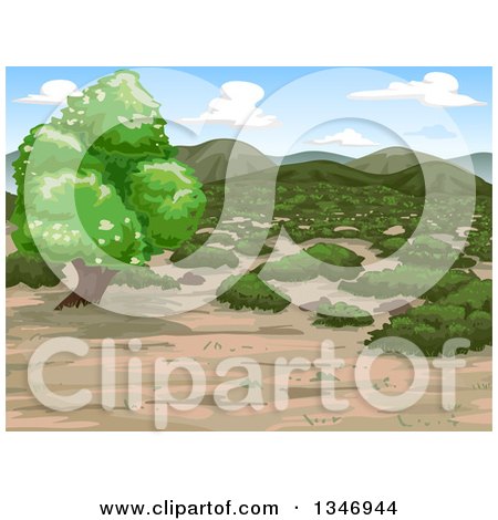 Clipart of a Mediterranean Shrubland Landscape - Royalty Free Vector Illustration by BNP Design Studio