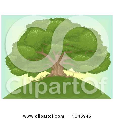 Clipart of a Beautiful Mature Oak Tree on Top of a Hill over a Sunset Sky - Royalty Free Vector Illustration by BNP Design Studio