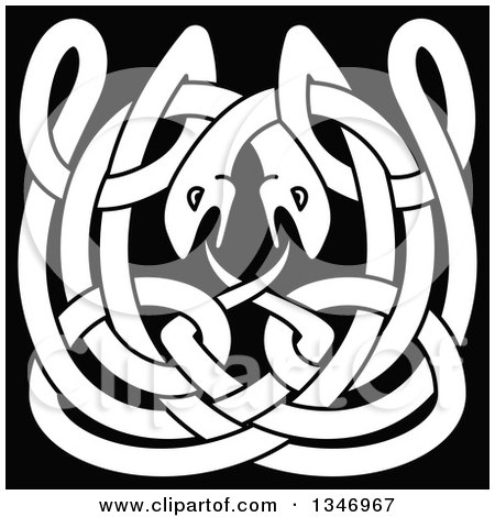 Clipart of White Celtic Knot Snakes on Black 3 - Royalty Free Vector Illustration by Vector Tradition SM