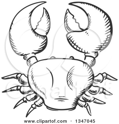 Clipart of a Black and White Sketched Crab Holding up His Claws - Royalty Free Vector Illustration by Vector Tradition SM