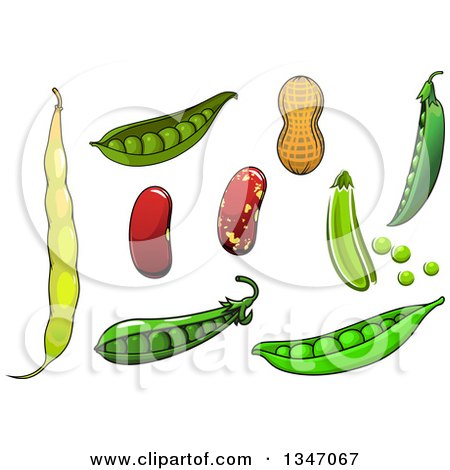 Clipart of Cartoon Peas, Beans and Peanut - Royalty Free Vector Illustration by Vector Tradition SM