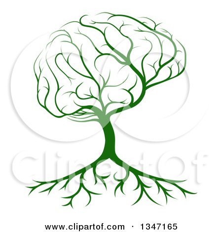 Clipart of a Leafy Green Heart Shaped Tree with Brain Roots - Royalty ...