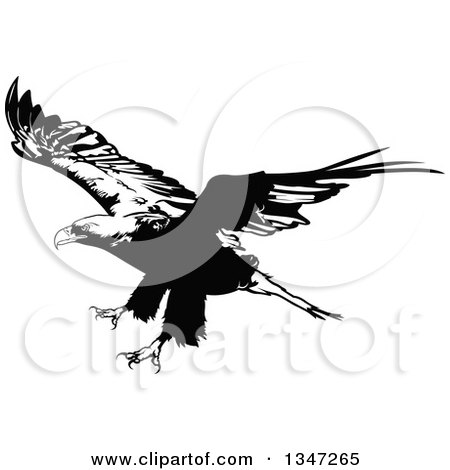 Clipart of a Black and White Flying Bald Eagle 4 - Royalty Free Vector Illustration by dero